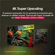 LG TV LG NanoCell AI 65'' │ UHD 4K │ Procesador Alpha 7 4K Gen8, Comparación de antes y después de cómo el superescalado&nbsp;4K de LG mejora la calidad de la imagen. Dos paneles muestran la misma imagen de un pájaro colorido posado en una rama en el bosque, el panel de, 65NANO80ASA, thumbnail 7
